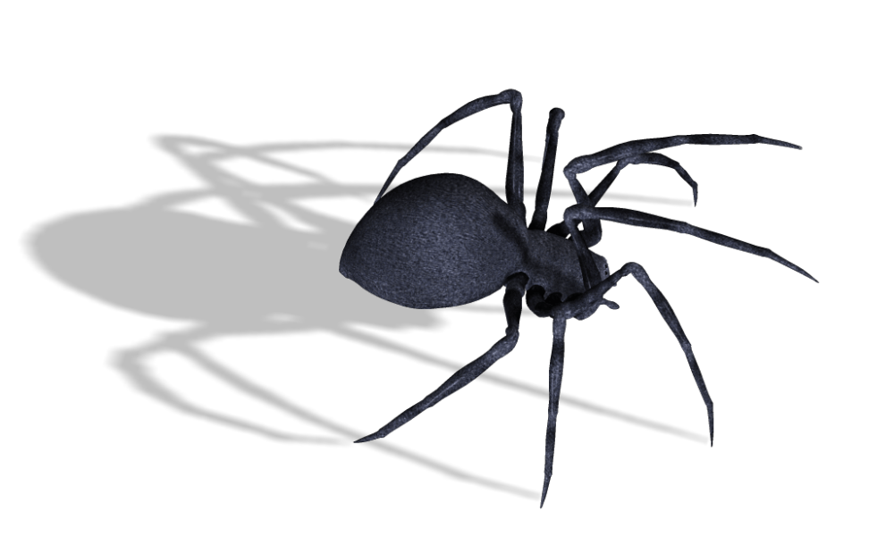 Dreaming big spider in neighbor's home