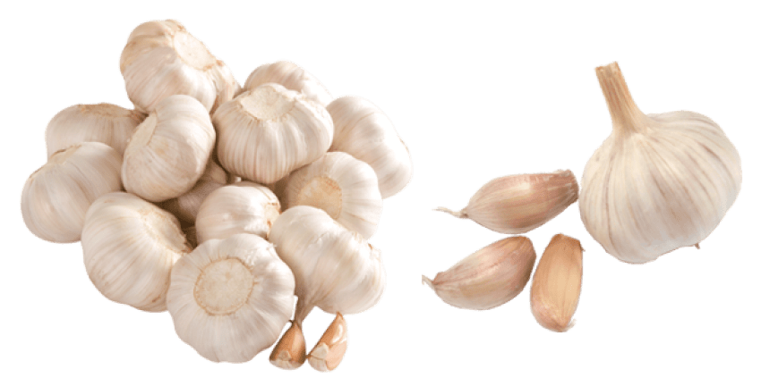 Meaning of dreaming of garlic
