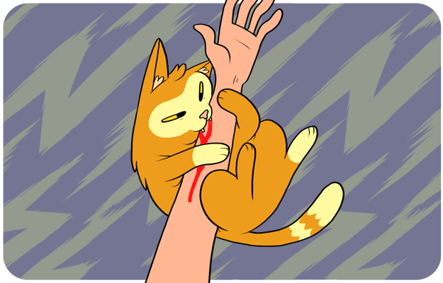 Meaning of being bitten by a cat in a dream